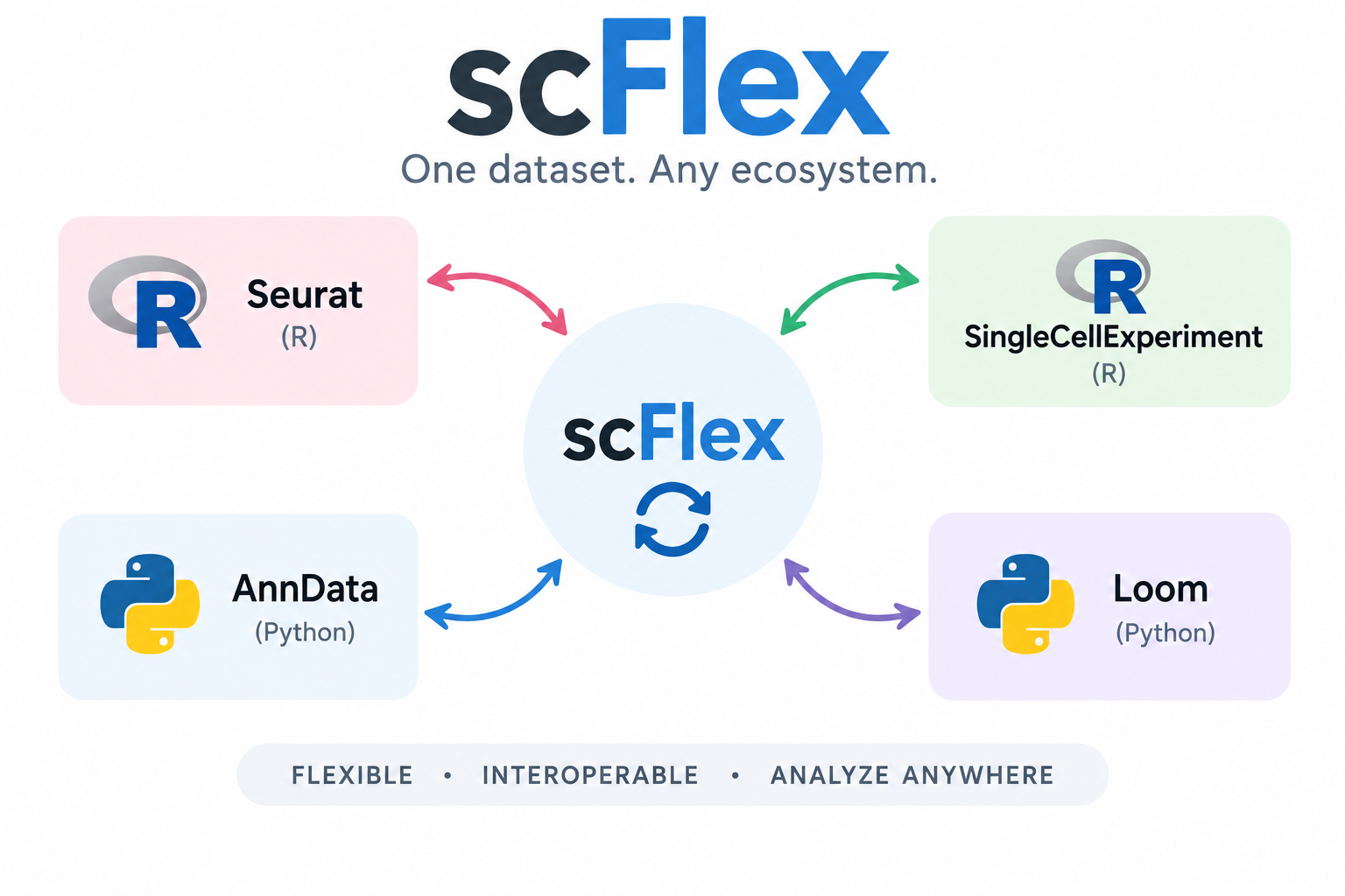 Overview of the scFlex single-cell object conversion workflow